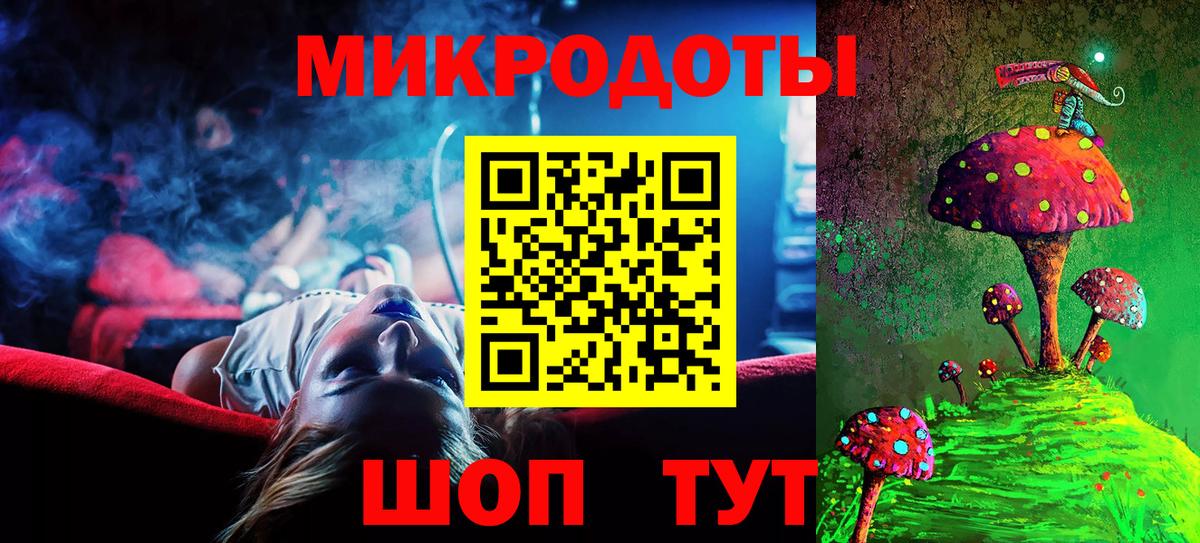 Псилоцибиновые грибы Psilocybe Находка