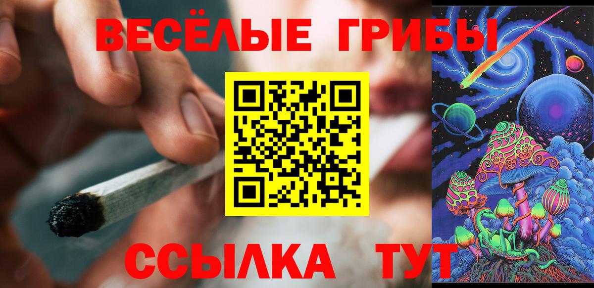 Находка  Псилоцибиновые грибы Cubensis  Вход с VPN  сколько стоит  Галлюциногенные грибы Magic Shrooms 
